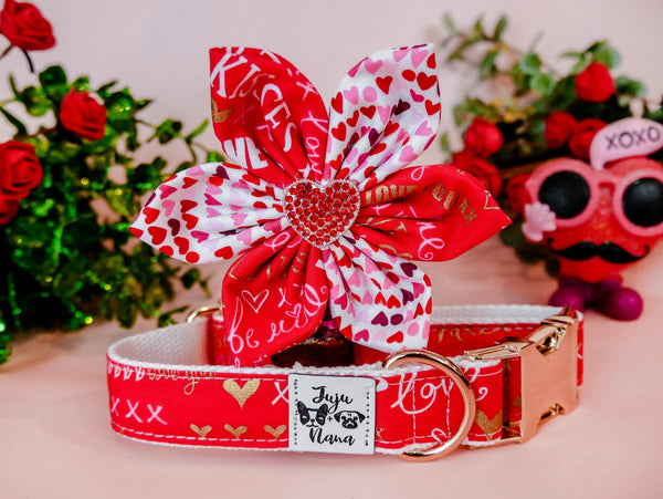Valentine dog collar with flower - love letters