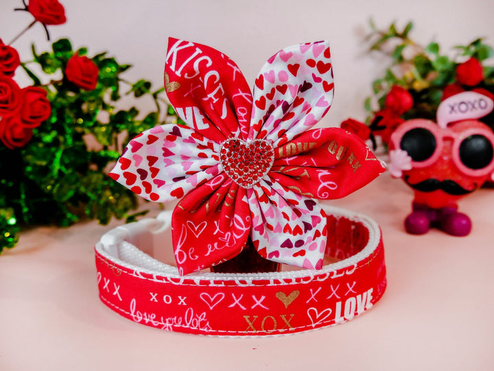 Valentine dog collar with flower - love letters