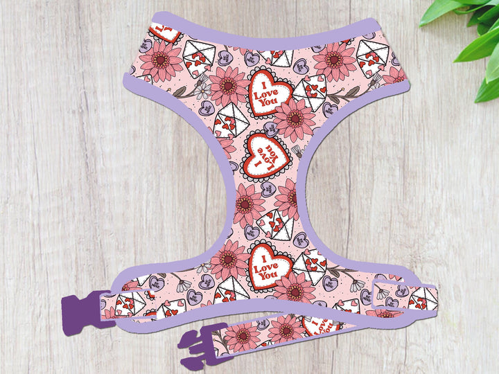 Valentine dog harness - Flowers and Love letters