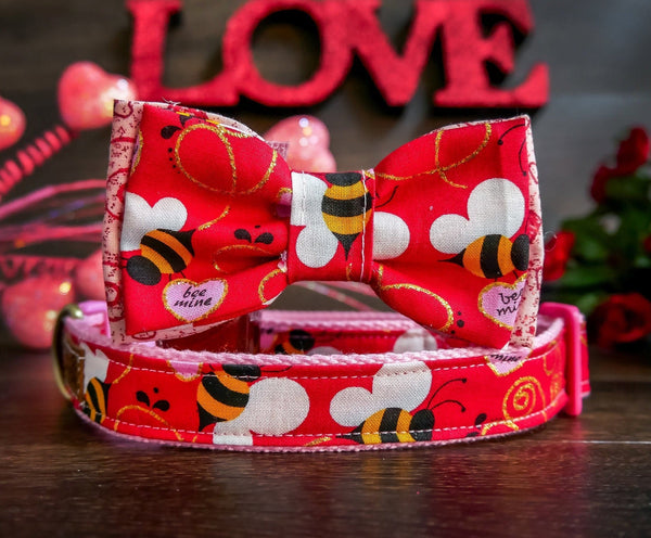 valentine dog collar with bow tie - Bee Mine