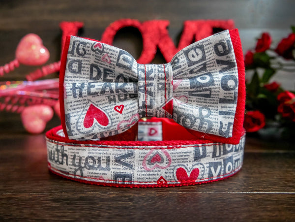 Valentine dog collar bow tie - love words