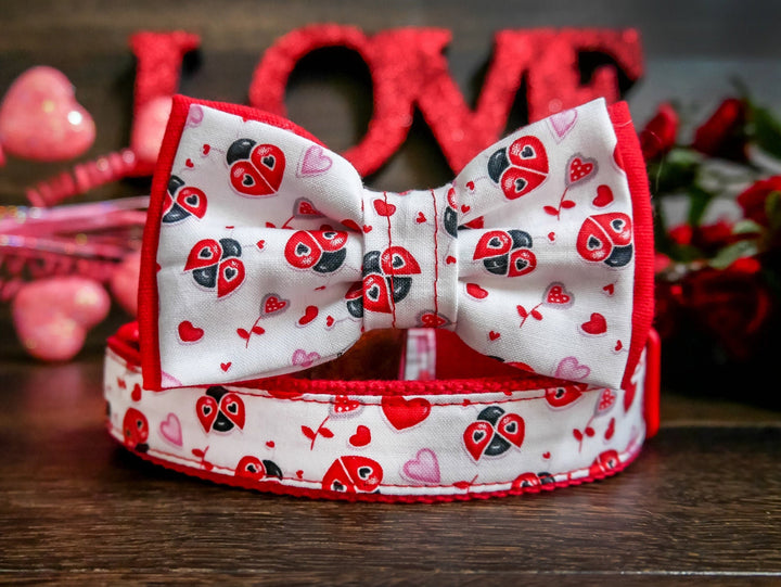 valentine dog collar with bow tie - Ladybug and heart