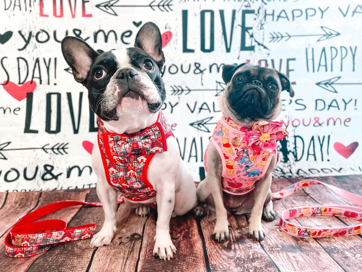 Valentine dog harness - Plaid and gnomes