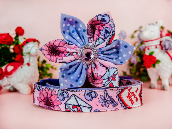 Valentine's Day dog collar with Flower - floral and love letters