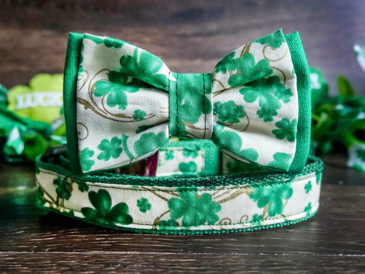 St Patrick's Day dog collar bow tie, green Boy dog collar, shamrock clover dog collar, large dog collar, small dog collar, medium dog collar