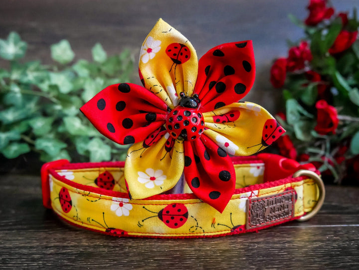 Polka ladybug and daisy dog collar with flower