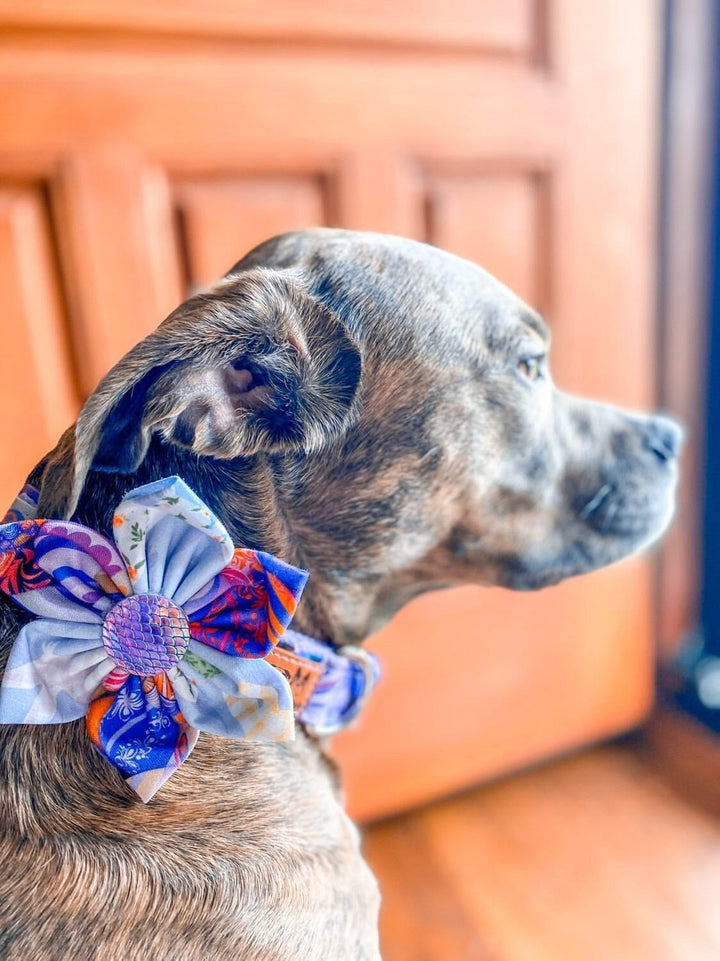 Easter eggs dog collar flower/ girl purple dog collar/ small large dog collar/ holiday dog collar/ cute puppy collar/ medium dog collar