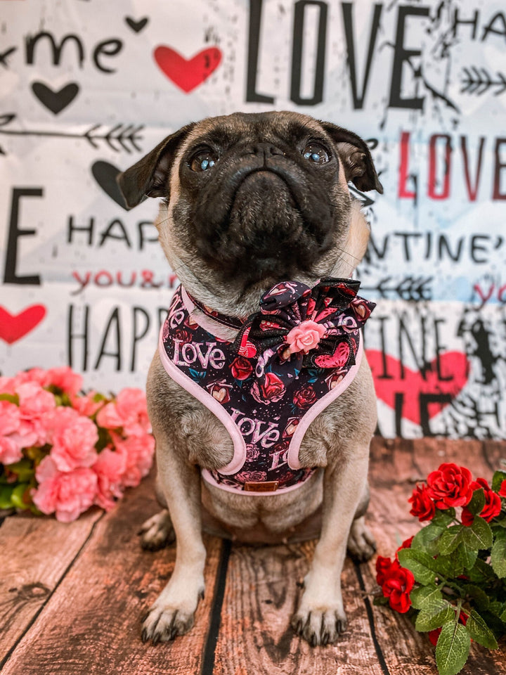Valentine dog harness - Love roses