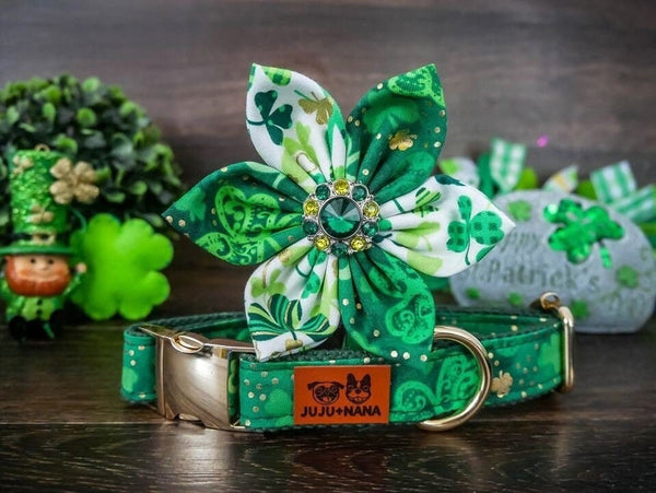 St Patrick dog collar Flower/ girl dog collar/ paisley shamrock dog collar/ small large dog collar/ Green clover dog collar/ holiday collar