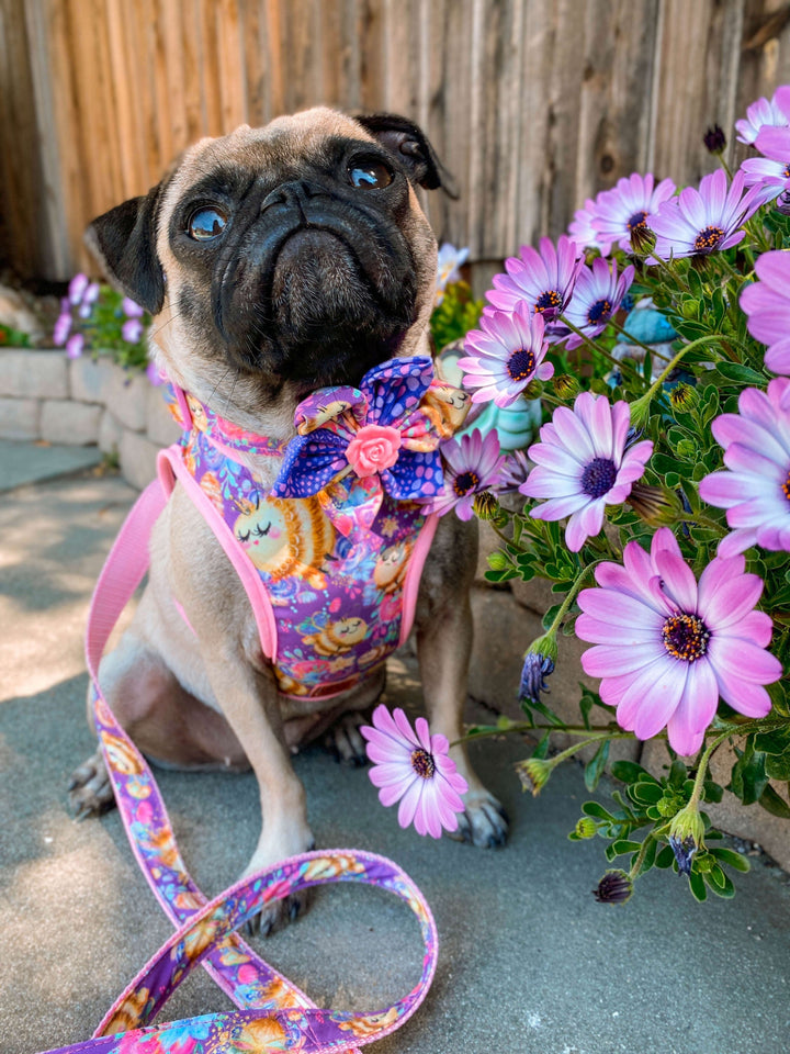 Bee and flower dog harness vest/ floral girl dog harness / pink purple dog harness/ Small medium puppy harness/ designer cute dog harness