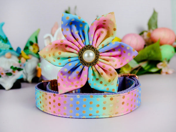 dog collar with flower - rainbow dots