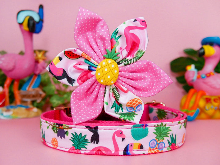 Dog collar with flower - Toucan, Pineapple, and Flamingo