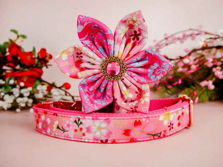 Dog collar with flower - Pink Sakura