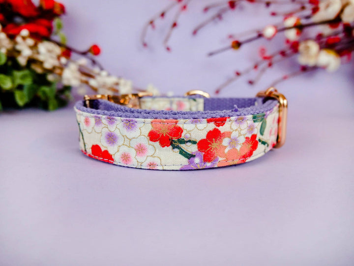 japanese floral female dog collar/ personalized Laser engraved buckle dog collar/ white girl custom dog collar/ kimono flower dog collar