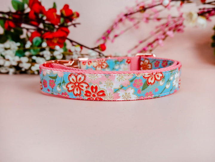 Engraved buckle dog collar - Japanese Sakura - Blue