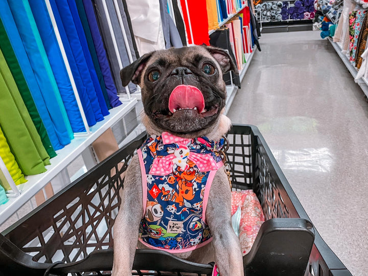 girl Unicorn dog harness/ cute blue pink dog harness vest/ sea beach harness/ kawaii puppy harness/ small medium dog harness