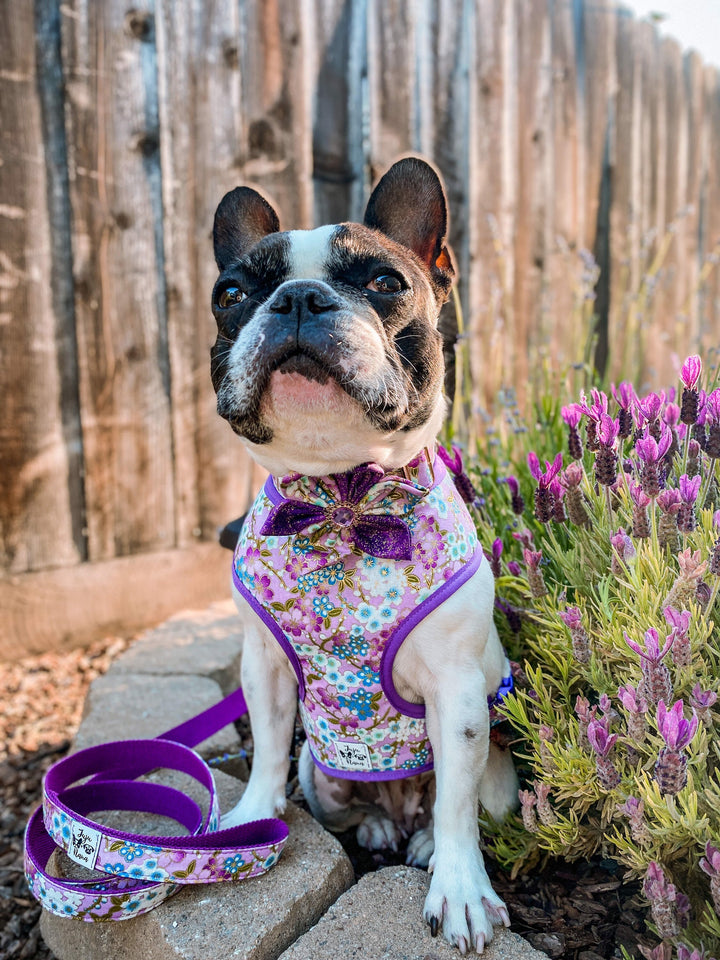 Japanese Floral dog harness leash set/ Flower Girl dog harness vest/ kimono purple dog lead harness/ small medium puppy female dog harness