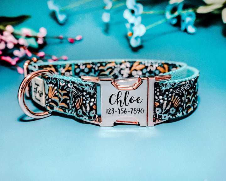 Personalized Engraved Buckle Dog Collar/ rifle paper co