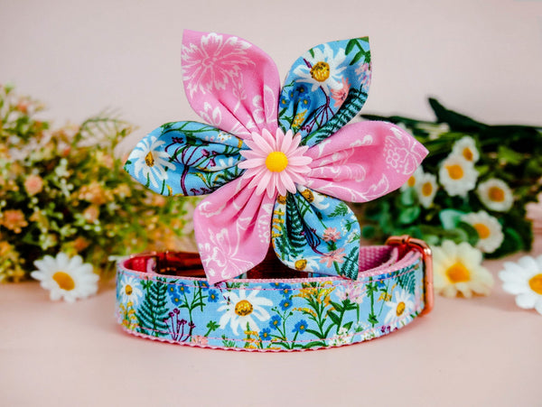 Dog collar with flower - Daisy and wildflowers