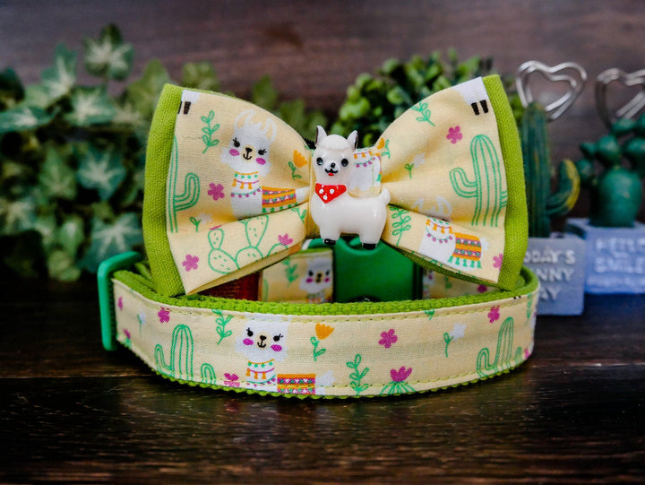 succulent bow tie Dog collar with bow tie