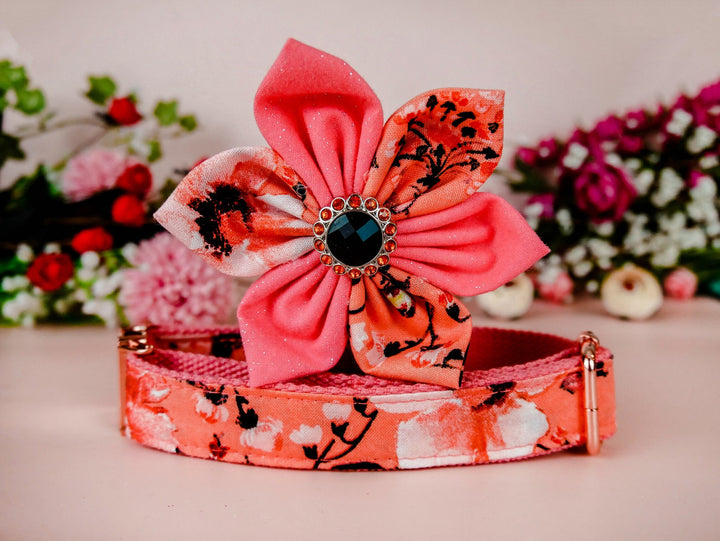 Dog collar with flower - Autumn coral flowers