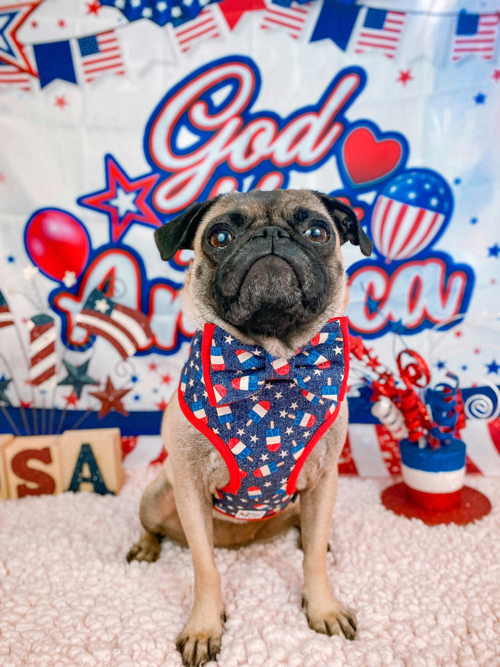Patriotic popsicle dog collar bow tie/ Boy 4th of July dog collar/ glitter star dog collar/ memorial day dog collar/ small large dog collar