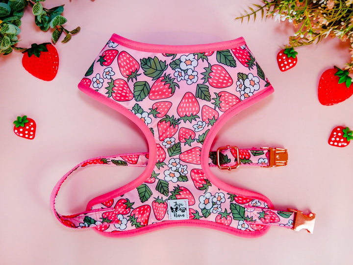 strawberry daisy flower dog harness vest/ cute girl dog harness/ tropical fruit harness/ floral food harness/ small pink medium dog harness