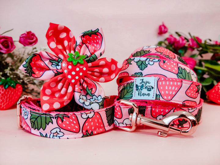 Dog collar with flower - Strawberry and flowers