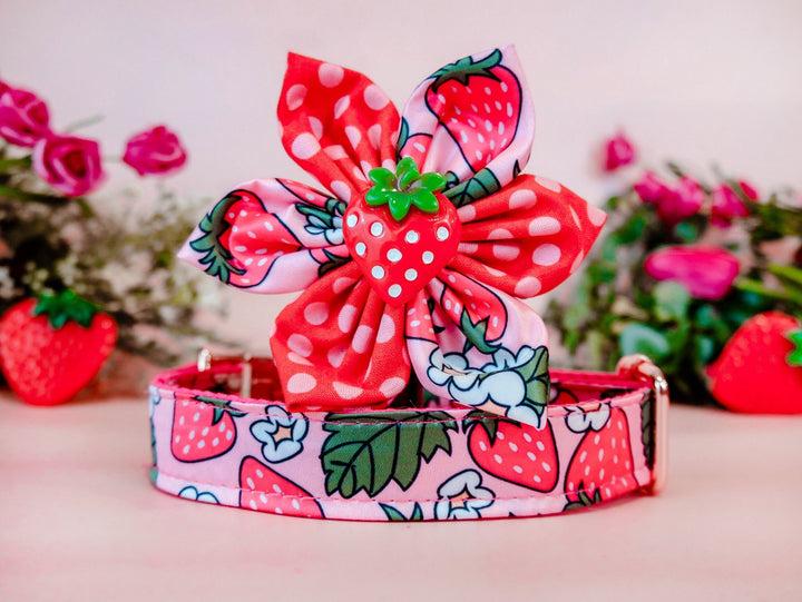 strawberry flower dog collar leash set/ girl fruit dog collar and lead