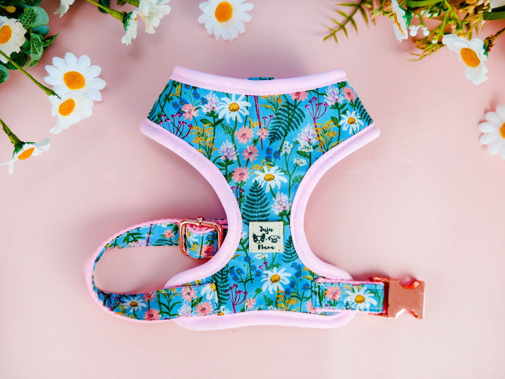 Rifle paper co daisy floral dog harness leash set/ Girl Flower dog harness vest/ small medium dog Harness and lead/ custom dog harness