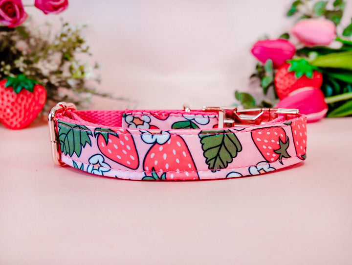Strawberry cute dog collar/ daisy flower girl dog collar/ floral pink collar/ food fruit dog collar/ large small dog collar/ puppy collar