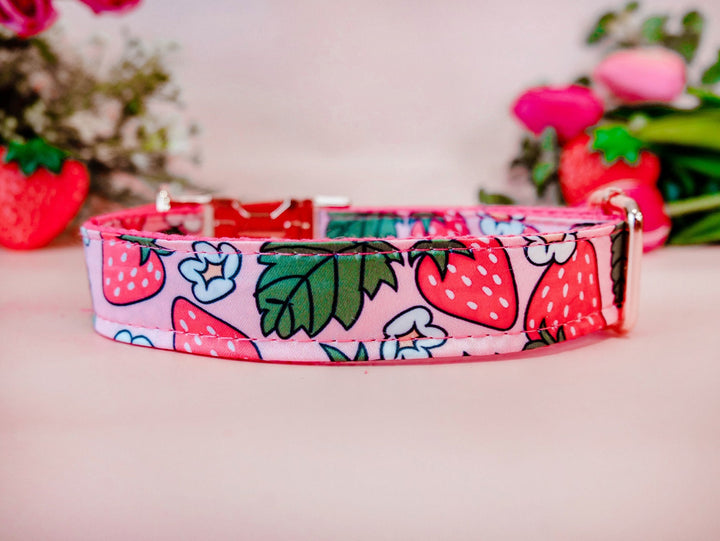Strawberry cute dog collar/ daisy flower girl dog collar/ floral pink collar/ food fruit dog collar/ large small dog collar/ puppy collar
