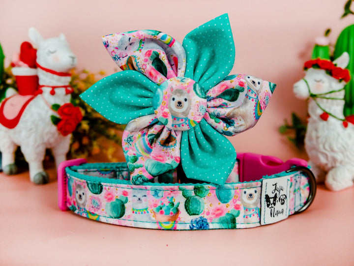 Dog collar with flower - Succulent, cactus flower, and llama