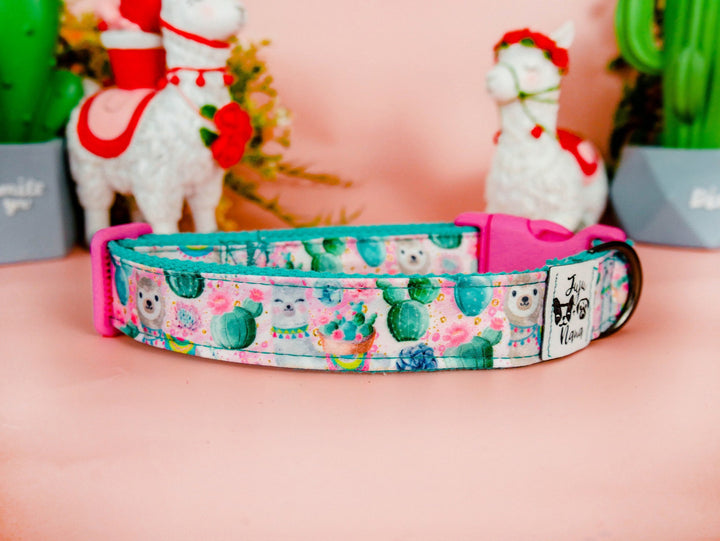 Llama cactus dog collar/ girl succulent dog collar/ boho floral cute collar/ large small dog collar/ soft fabric flower collar