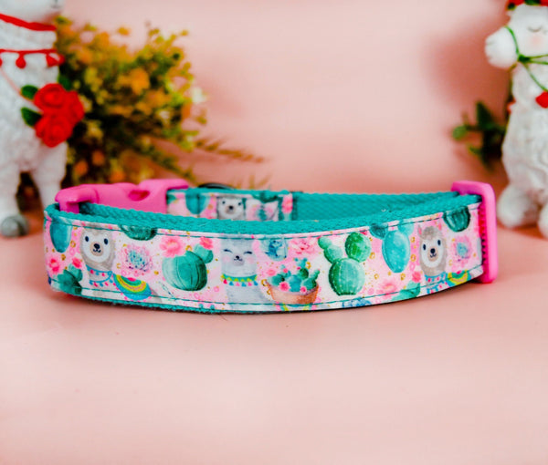 Llama cactus dog collar/ girl succulent dog collar/ boho floral cute collar/ large small dog collar/ soft fabric flower collar
