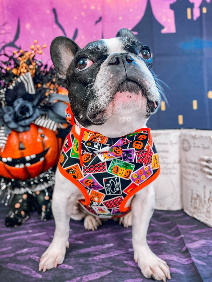 Halloween dog harness - Halloween Party