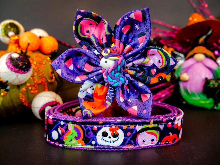 Halloween dog collar with flower - Unicorn party