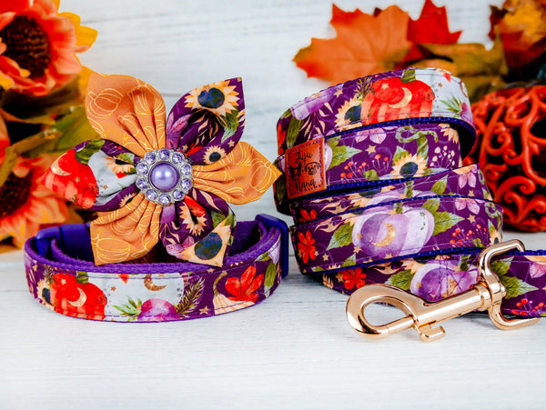 Autumn Flower dog collar leash set/ girl floral dog collar