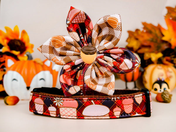 Dog collar with flower - Plaid and acorns