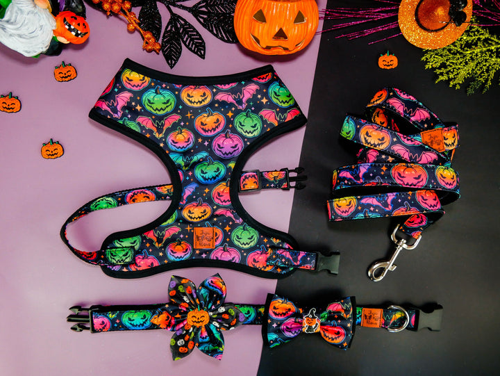 Halloween dog harness - Rainbow pumpkin and bat