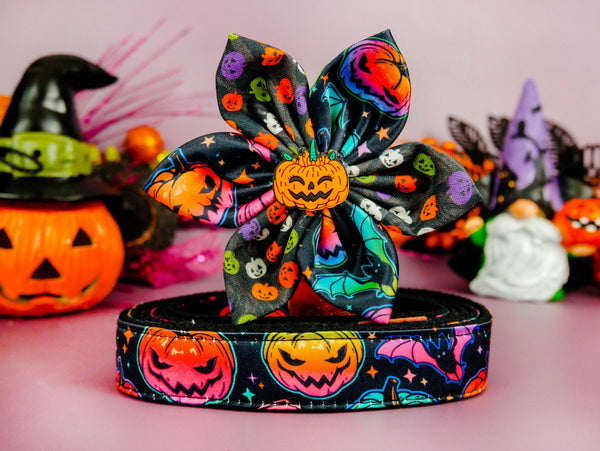Halloween dog collar with flower - Rainbow pumpkin and bat