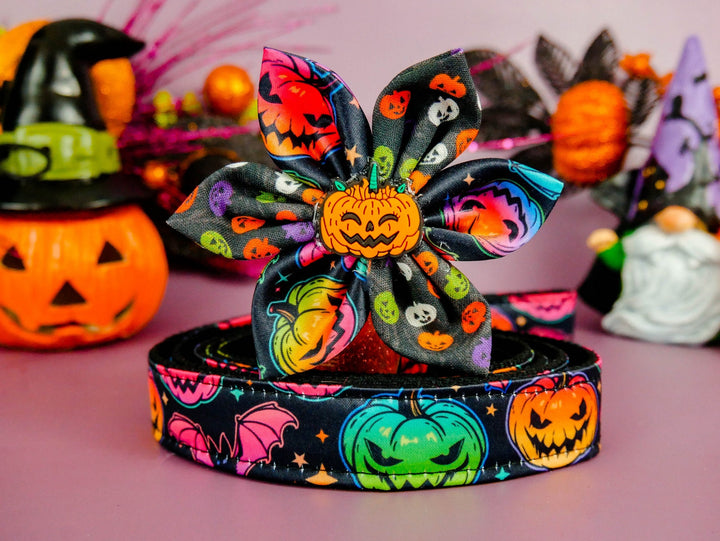 Halloween dog collar with flower - Rainbow pumpkin and bat