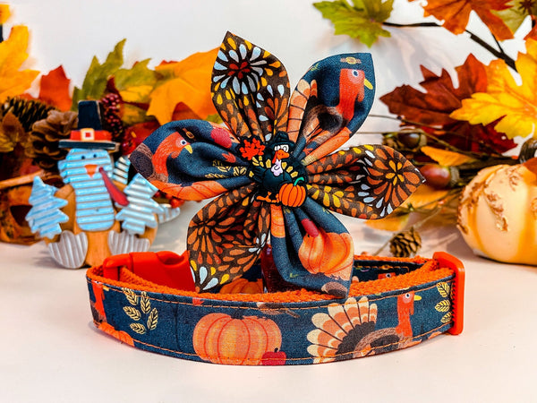 Dog collar with flower - Thanksgiving Turkey and Pumpkin