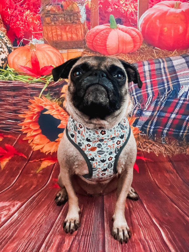 Thanksgiving Autumn dog harness - harvest in gray