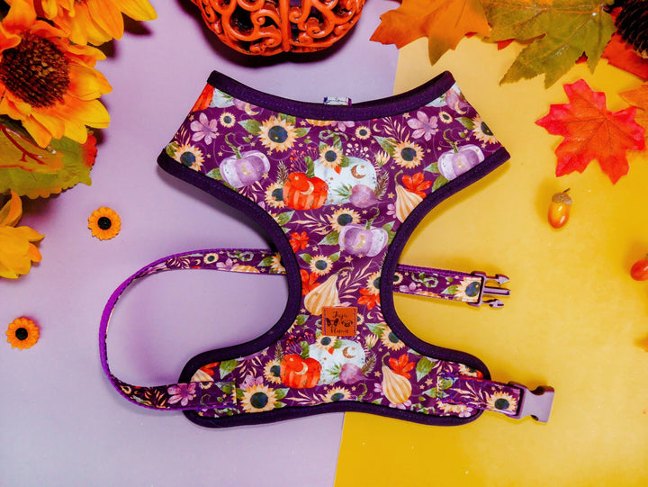Dog harness set - purple sunflower and pumpkins