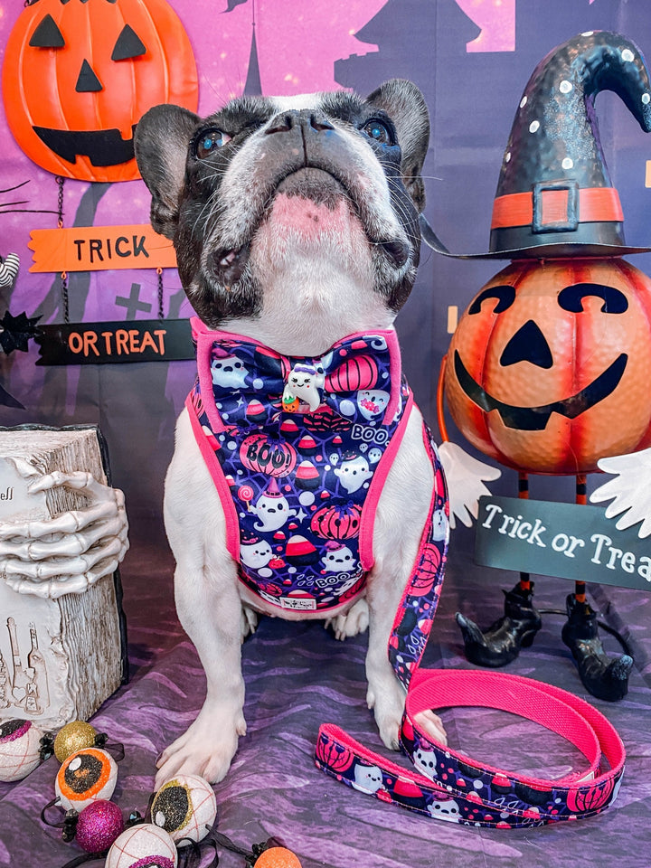 Halloween dog collar with bow tie - Ghost haunted house