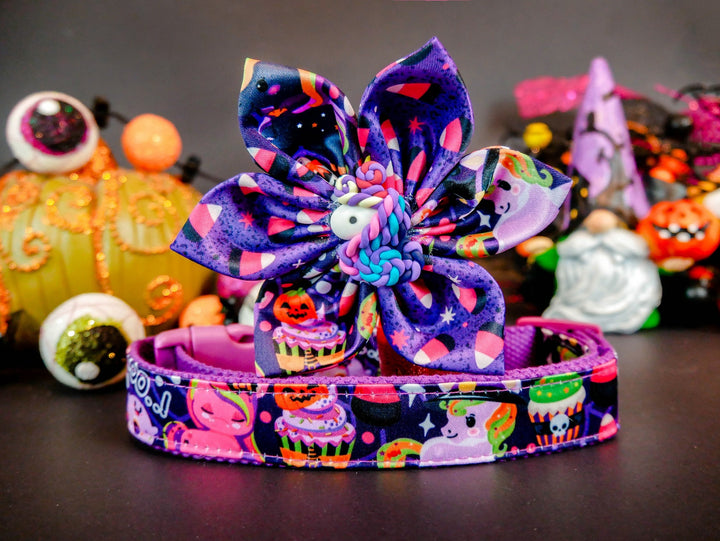 Halloween dog collar with flower - Unicorn party