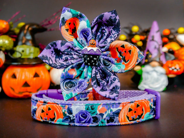 Halloween dog collar with flower - Pumpkin and rose flowers