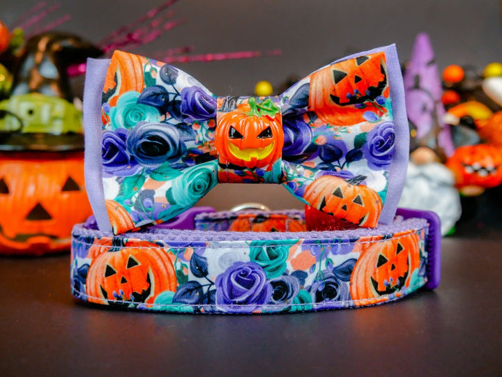Halloween dog collar with bow tie - Pumpkin and rose flowers