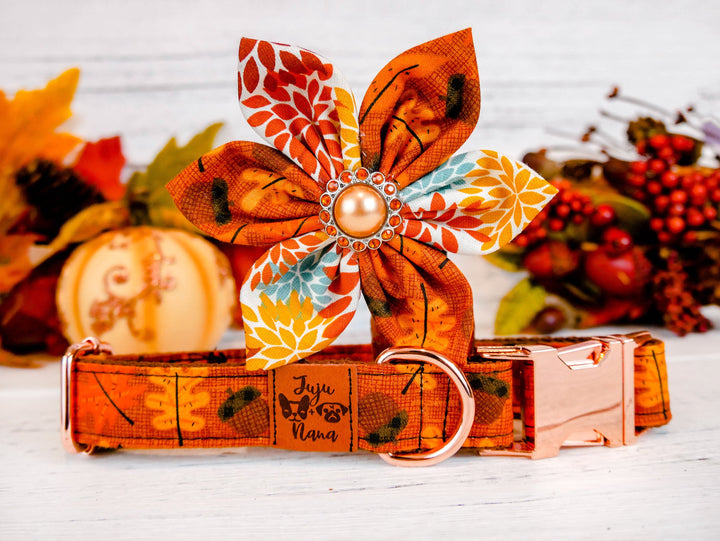 Thanksgiving dog collar with flower - acorn and leaves